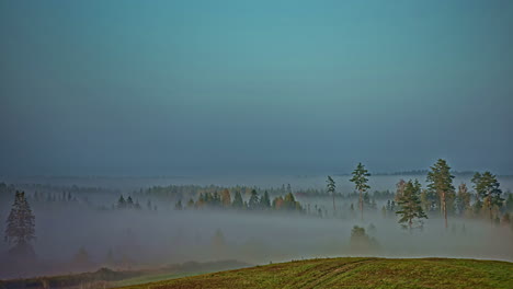 low-lying fog in the forest valley - mystical time lapse