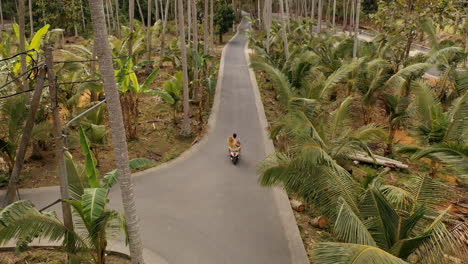 Luftaufnahme-Eines-Paares,-Das-Mit-Einem-Roller-Auf-Einer-Tropischen-Insel-Unterwegs-Ist-Und-Den-Palmenwald-Auf-Dem-Motorrad-Erkundet.-Touristen-Erkunden-Ihr-Urlaubsziel-Mit-Dem-Motorrad