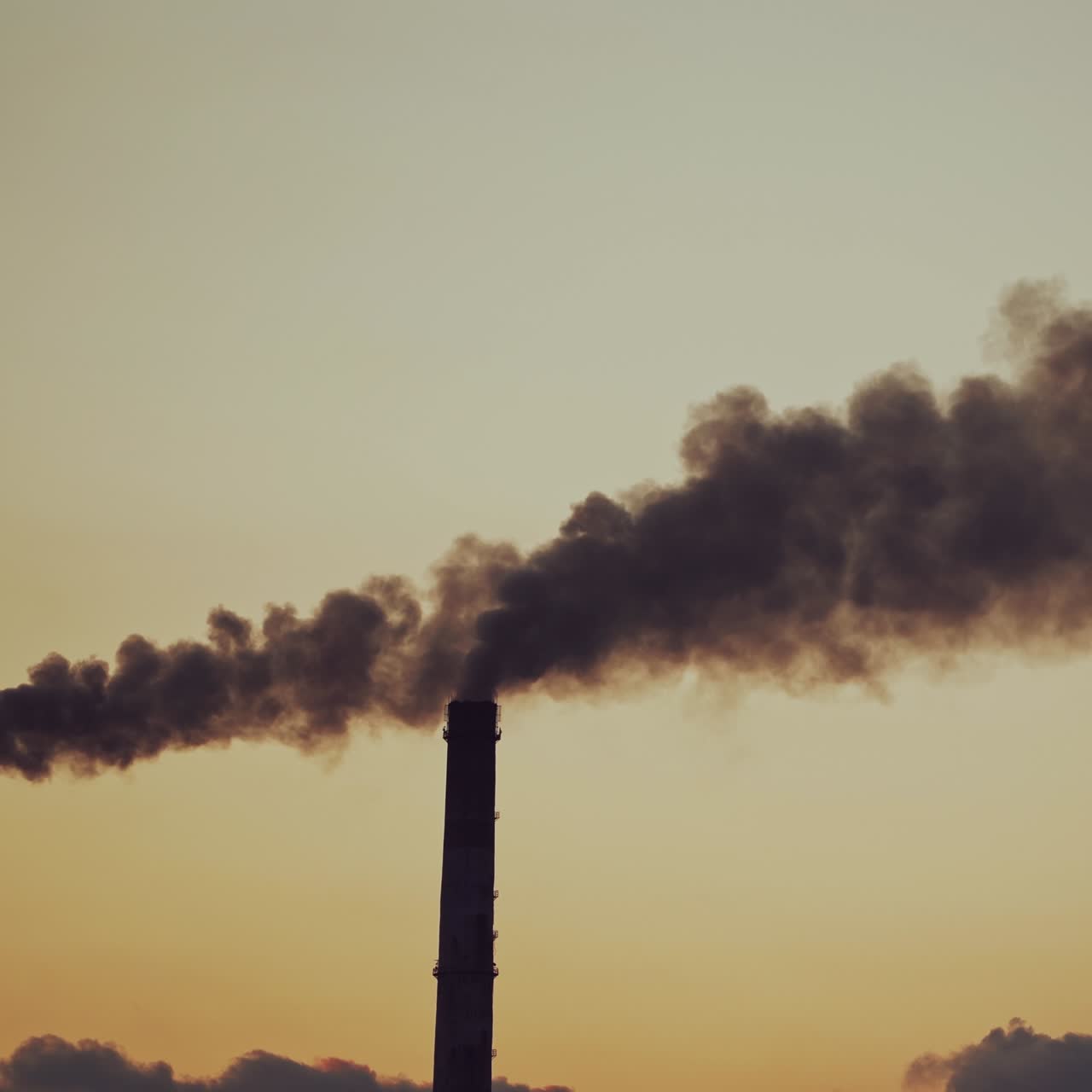 Smoking pipes making clouds