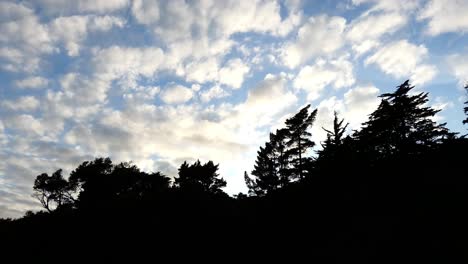 light versus shadow in early morning golden-hour