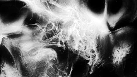 capa de movimiento de humo blanco brillo nube de humo negro