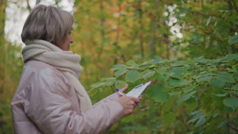 female plant scientist in warm jacket and scarf holding clipboard writes notes while observing green leaves in quiet autumn forest, surrounded by soft natural daylight and dense seasonal foliage