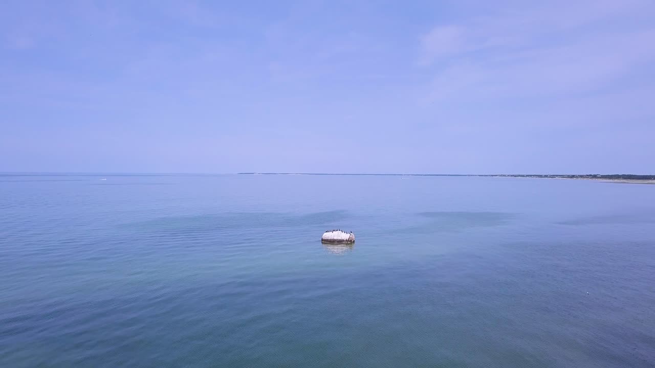 Serene Coastal Landscape with Birds on Rock