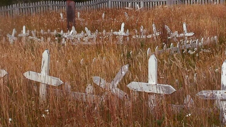 L'erba cresce in un cimitero abbandonato