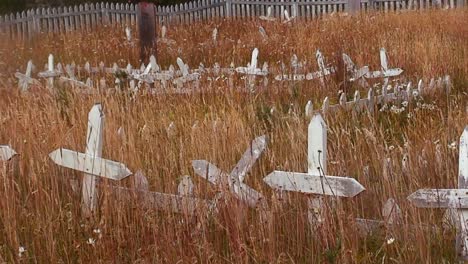 la hierba crece en un cementerio abandonado