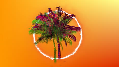 anillo de fuego y palmera
