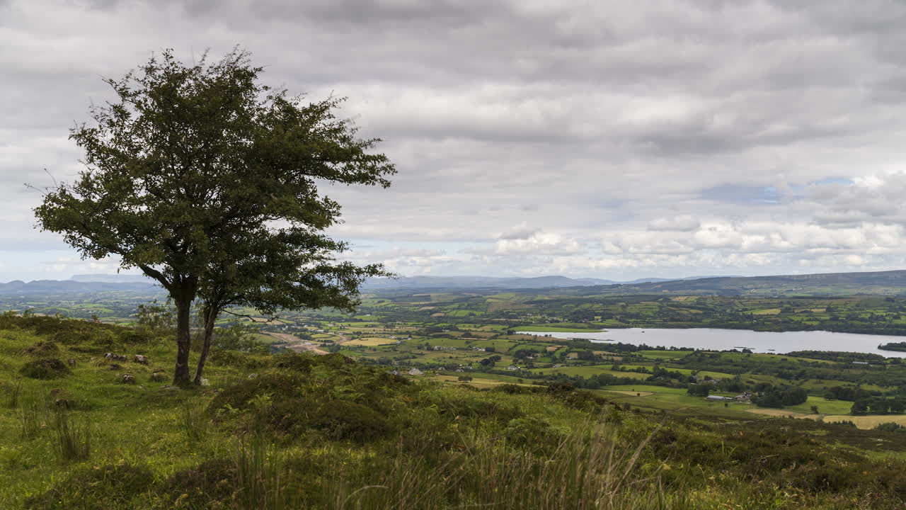 아일랜드 카운티 슬라이고에 있는 카로킬 언덕에서 낮 동안 풀, 나무, 바위의 시골과 외딴 풍경의 시간 경과