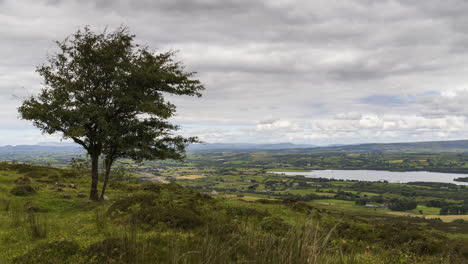lapso de tiempo del paisaje rural y remoto de hierba, árboles y rocas durante el día en las colinas de carrowkeel en el condado de sligo, irlanda