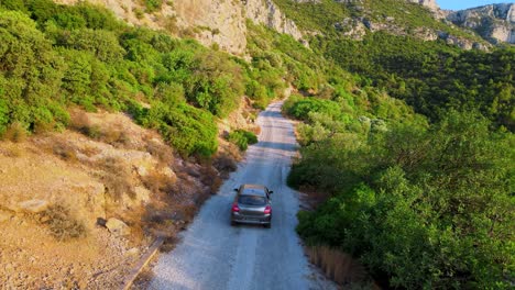the image features a car driving down a narrow, rocky road in the woods. there are pine trees lining both sides of the road. location: tunisia, zaghouan.