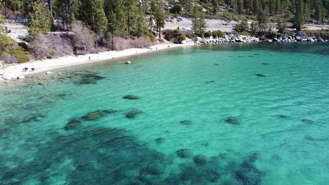 Aereo: Persone e cani che si godono il Lago Tahoe