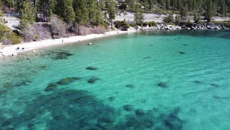 Aerial:-People-And-Dogs-Enjoying-Lake-Tahoe