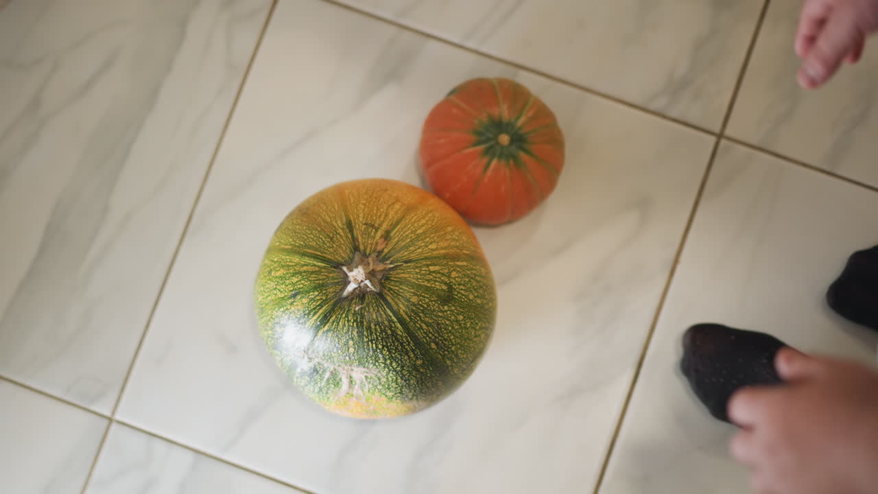 Draufsicht auf Kürbisse auf glänzenden Fliesen, kleines Kind hebt großen grünen Kürbis, während kleiner orangefarbener Kürbis wartet, Draufsicht zeigt Größe und Griff, frische Erzeugnisse für die häusliche Zubereitung vorbereiten.
