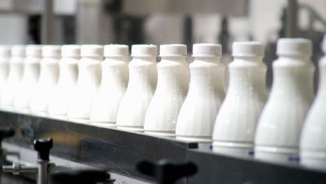 footage of white plastic milk bottles sorted at the production line and moving forward to be packed