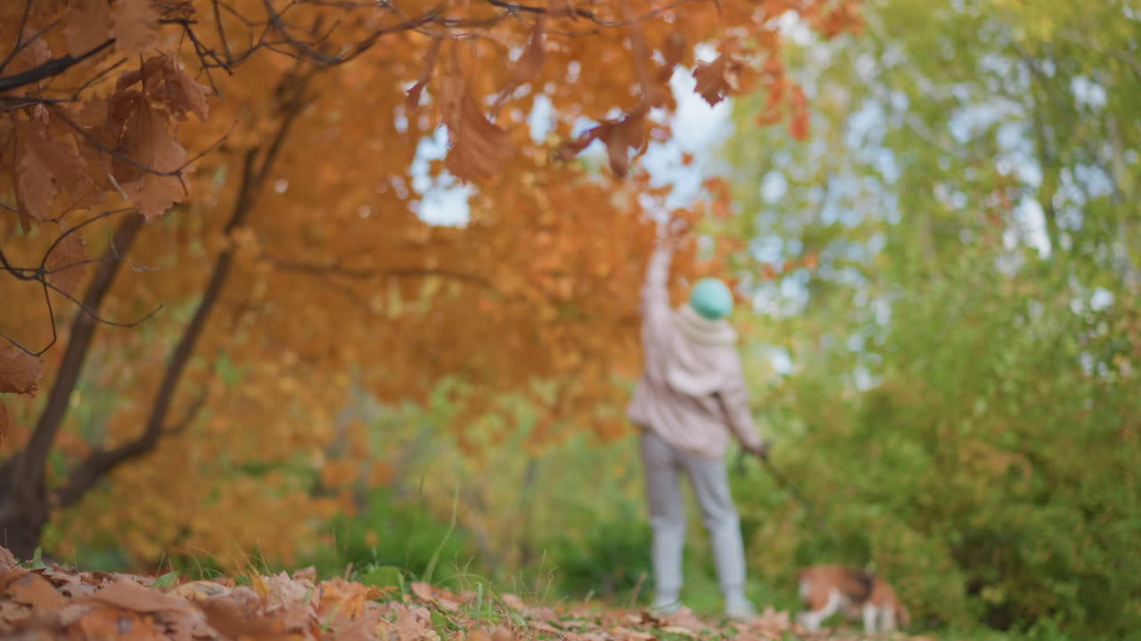 foreground shows dry leaves in sharp focus while background is blurred revealing woman in mint beanie pointing upward beside child and dog surrounded by rich autumn foliage and natural light in park