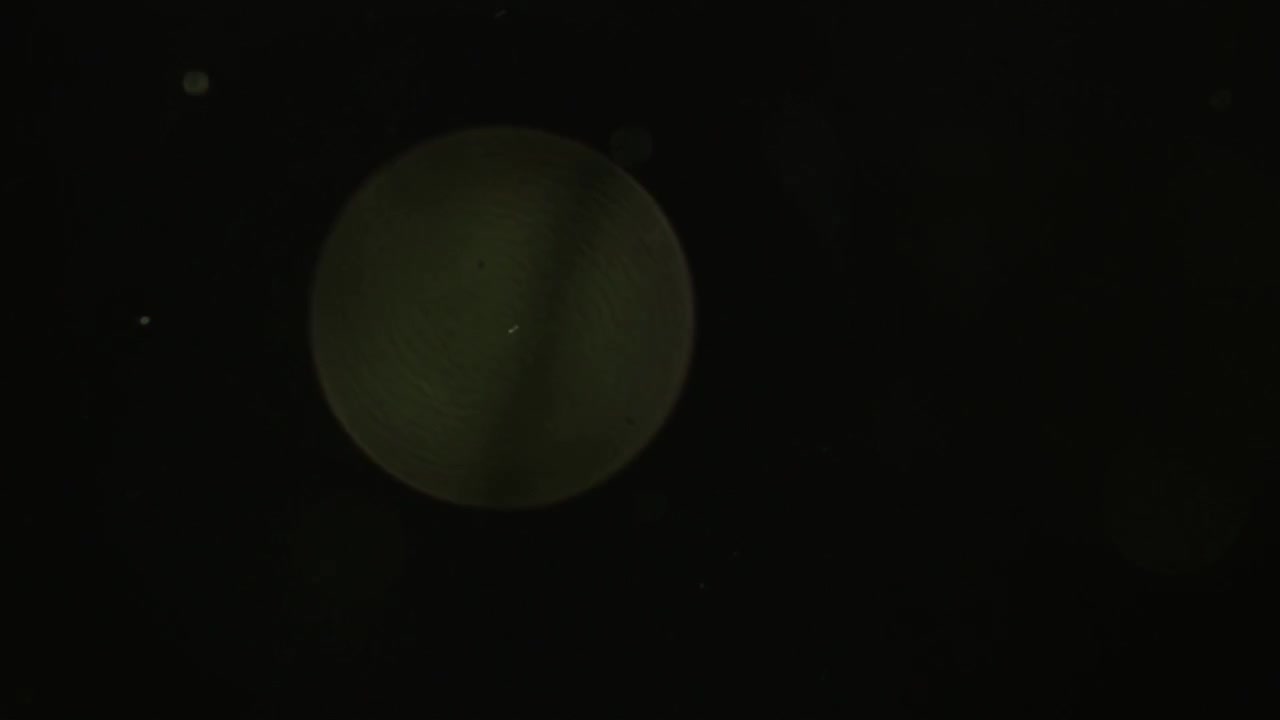 Floating Dust Particles and Bokeh Lights on Black Background