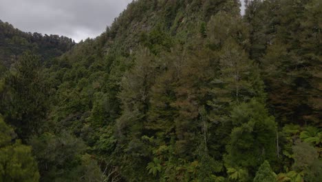 Río-Marrón-Que-Serpentea-Entre-Acantilados-Escarpados,-Cubierto-Por-Un-Denso-Dosel-De-Selva-Tropical