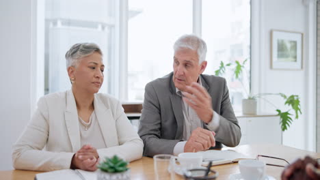 client meeting, business or senior people