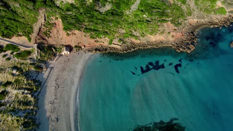 Tancats-Conservados-Islas-Baleares-Coral-España-Antena