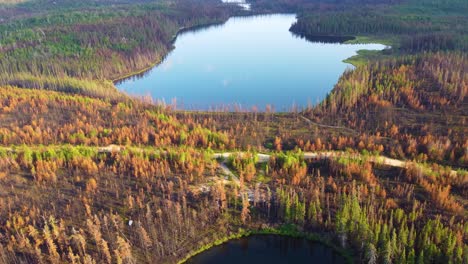 Aerial-Tilt-Down-View-Over-Spectacular-Quebec-Countryside-After-Wildfires,-Near-Lebel-sur-Quévillon,-Canada