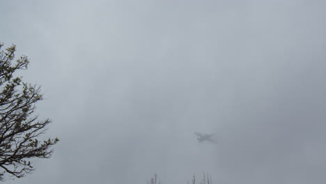 airplane vanishing in overcast sky