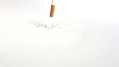 cigarette filling on the floor on white background