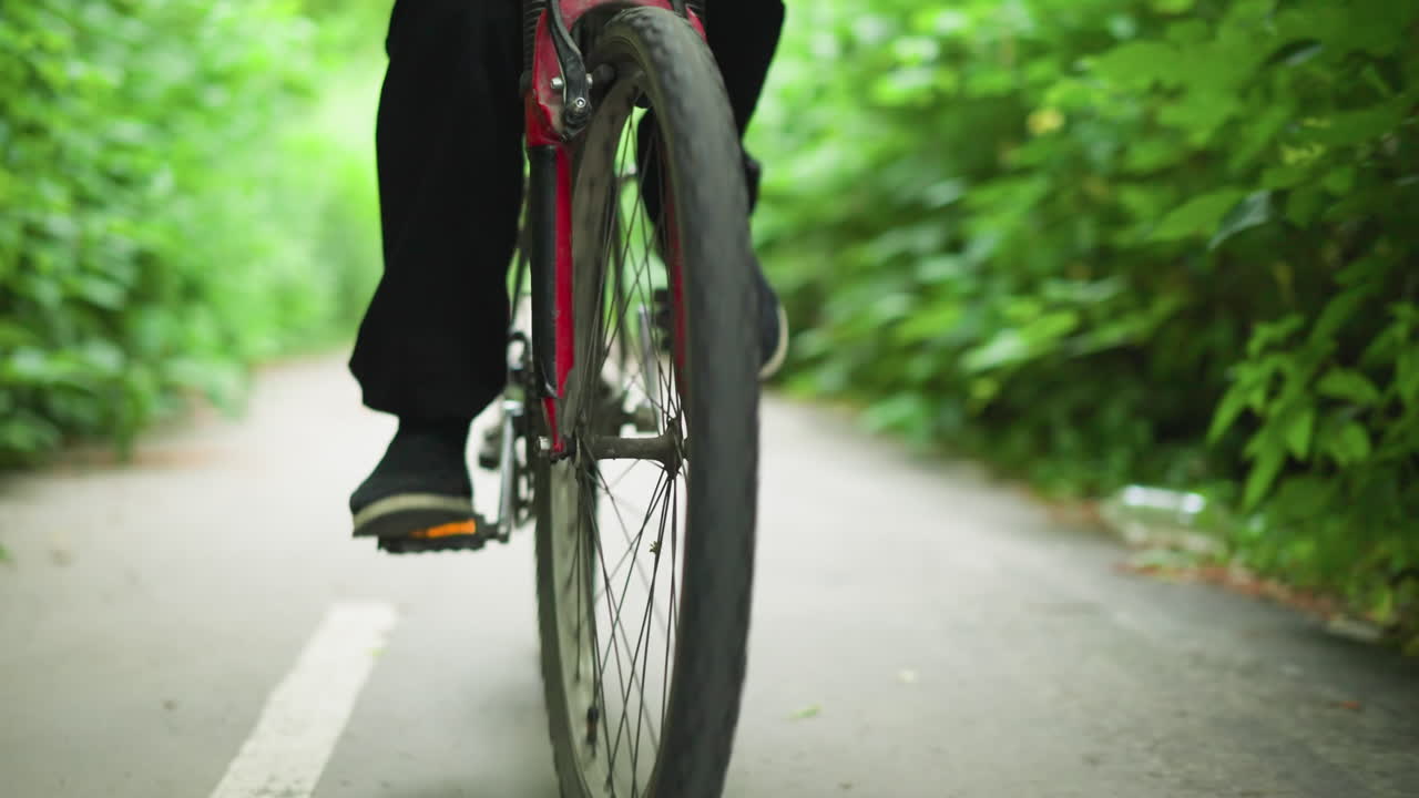 색 표시가 있는 경치 좋은 포장된 길을 따라 자전거를 타고 다니는 어린 소년의 근접적인 다리 시각, 양쪽 모두 울창한 초록색으로 둘러싸여 있으며, 부드러운 보케 효과가 보인다.