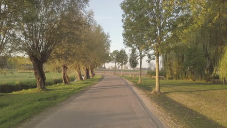 Flotando-Sobre-Una-Carretera-Con-Hermosos-árboles-Durante-El-Amanecer-Temprano-En-La-Mañana