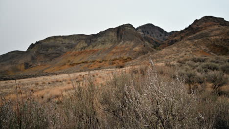 Kamloops&#39;-Cinnamon-Ridge:-Die-Geschichte-Eines-Canyons