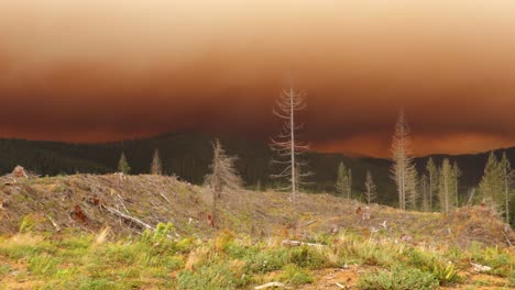 paysage sauvage panoramique d'une épaisse fumée orange foncé et de conditions de feu de forêt venteuses