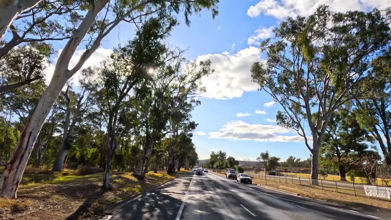 POV camera moves forward on a sunny Australian road with eucalyptus trees and clouds