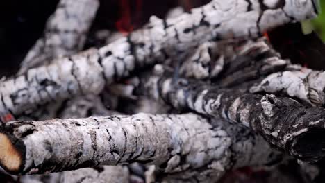 smoldered logs in slight fire. detailed motion of orange flame on white wooden embers. close-up.