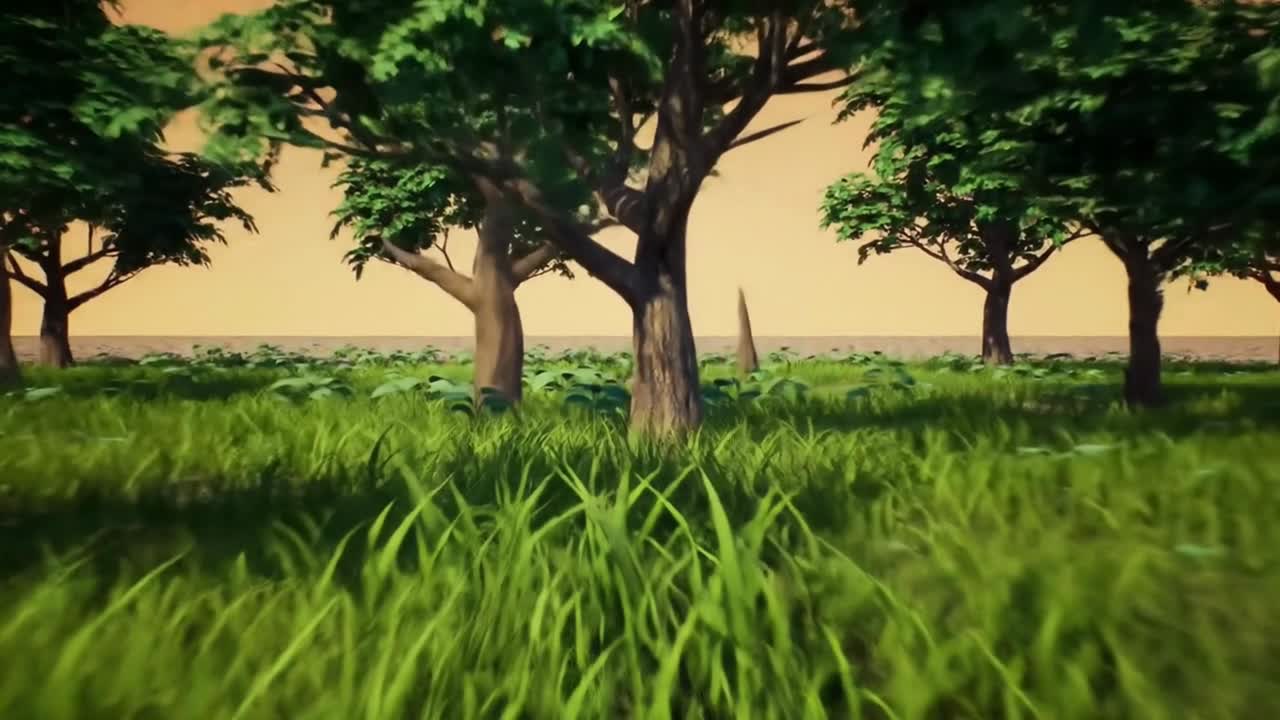 New Plants Sprouting in a Dry and Cracked Desert Field