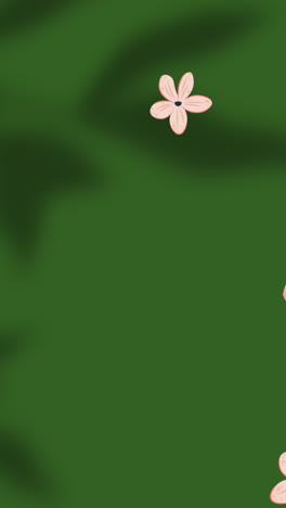 animación de flores sobre hojas y sombra de ventana sobre fondo verde