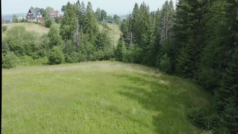 Drone-Flying-close-and-in-between-forest-trees