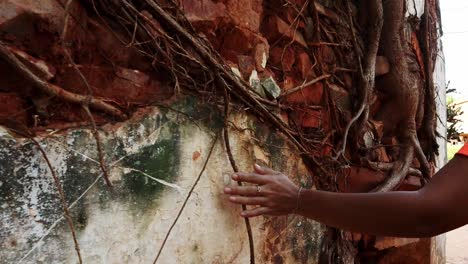 Model-Hand-Feeling-Wall-And-Tree-Texture-Grown-On-Wall-Of-Ruined-House,-Paraguay