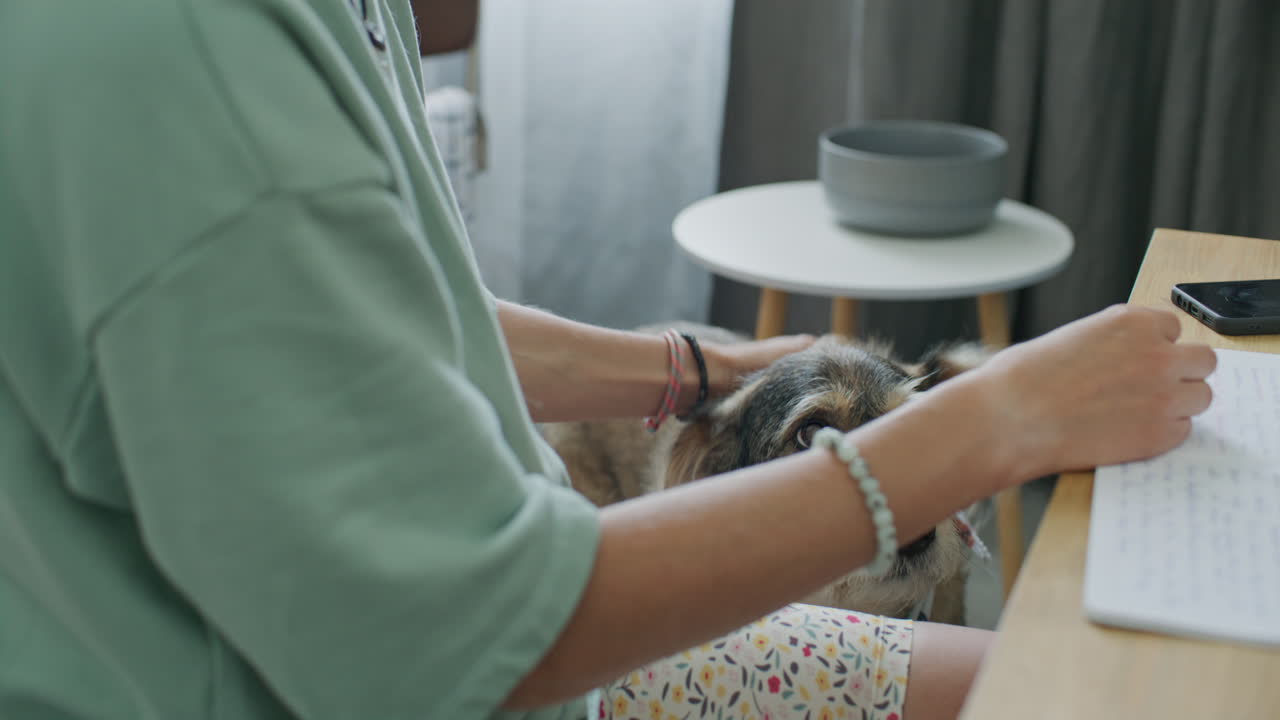 Young Woman Feeding Treats to Dog while Sitting at Desk in Cozy Room