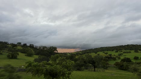 serene landscape of rolling green hills dotted with majestic oak trees under a cloudy sky. a soft, warm light glows on the horizon adding a touch of calm to the peaceful sunset scene