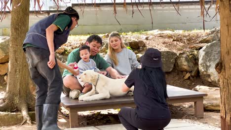 visitors engage with a playful lion cub