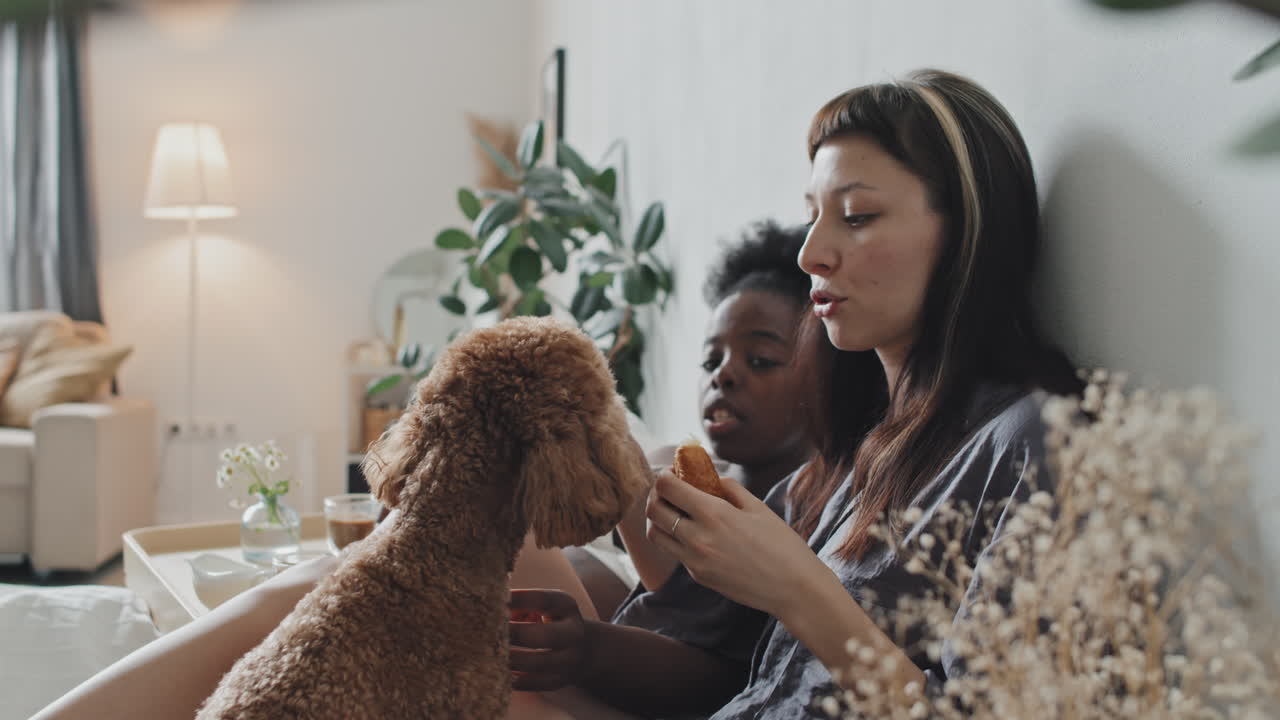 Lesbian Couple with Cute Dog Enjoying Breakfast in Bed