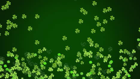 animation of green clovers moving on dark green background for st. patricks day