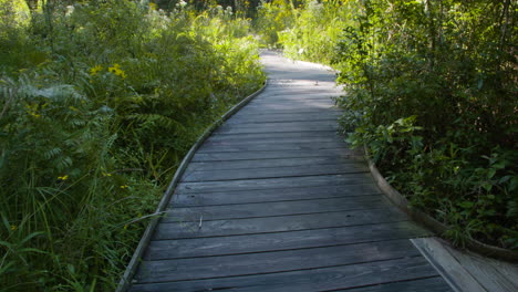 Puente-De-Madera-A-Través-De-Un-Jardín,-Inclinándose-Hacia-Arriba