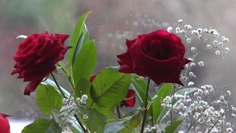 romantic red roses near window during winter snowfall