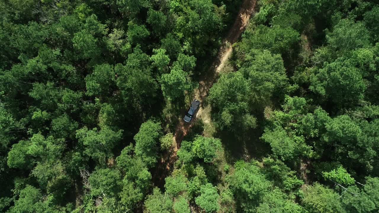 vista aérea de arriba hacia abajo de un camión en un sendero en el bosque