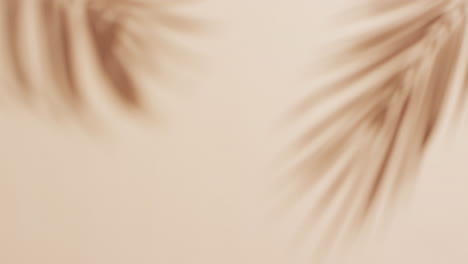 animación de la sombra de las hojas de la palmera moviéndose con espacio de copia sobre fondo crema