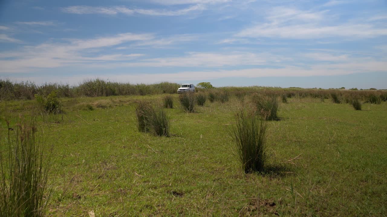 키 큰 푸른 풀이 있는 프랑스 남부 들판의 비포장 도로를 운전하는 suv 트럭