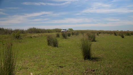 SUV-truck-driving-through-a-dirt-road-in-the-fields-of-Southern-France-with-tall-green-grass