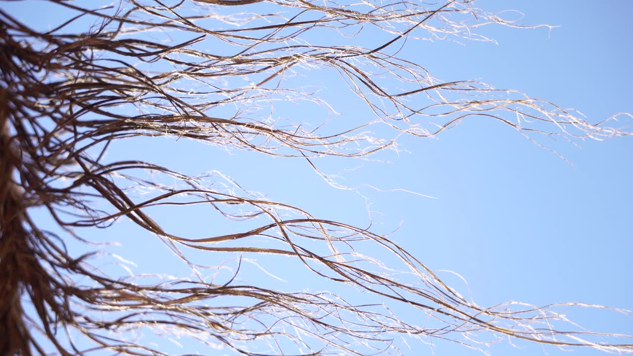 Macro shot of Sun and breeze in a beach straw umbrella