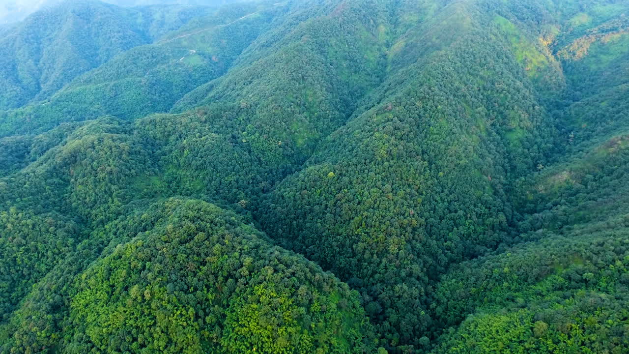 vista aérea de la montaña y el bosque.