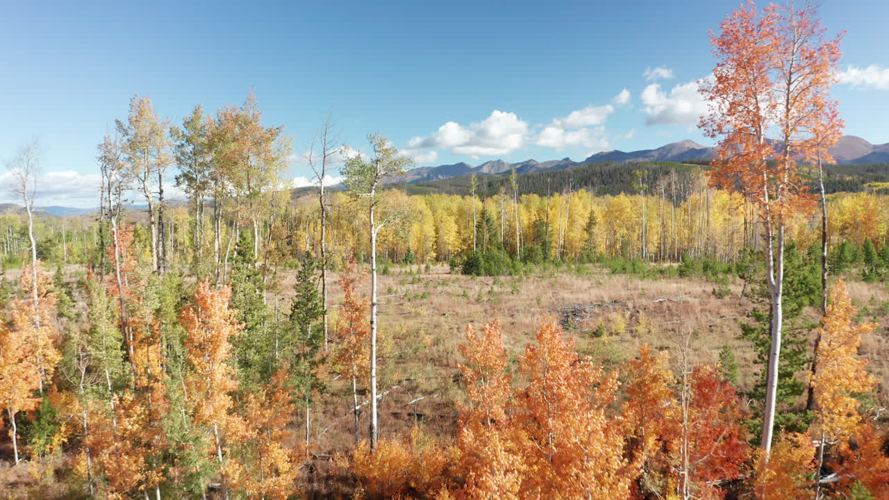 북부 콜로라도 산의 단풍 드론 영상