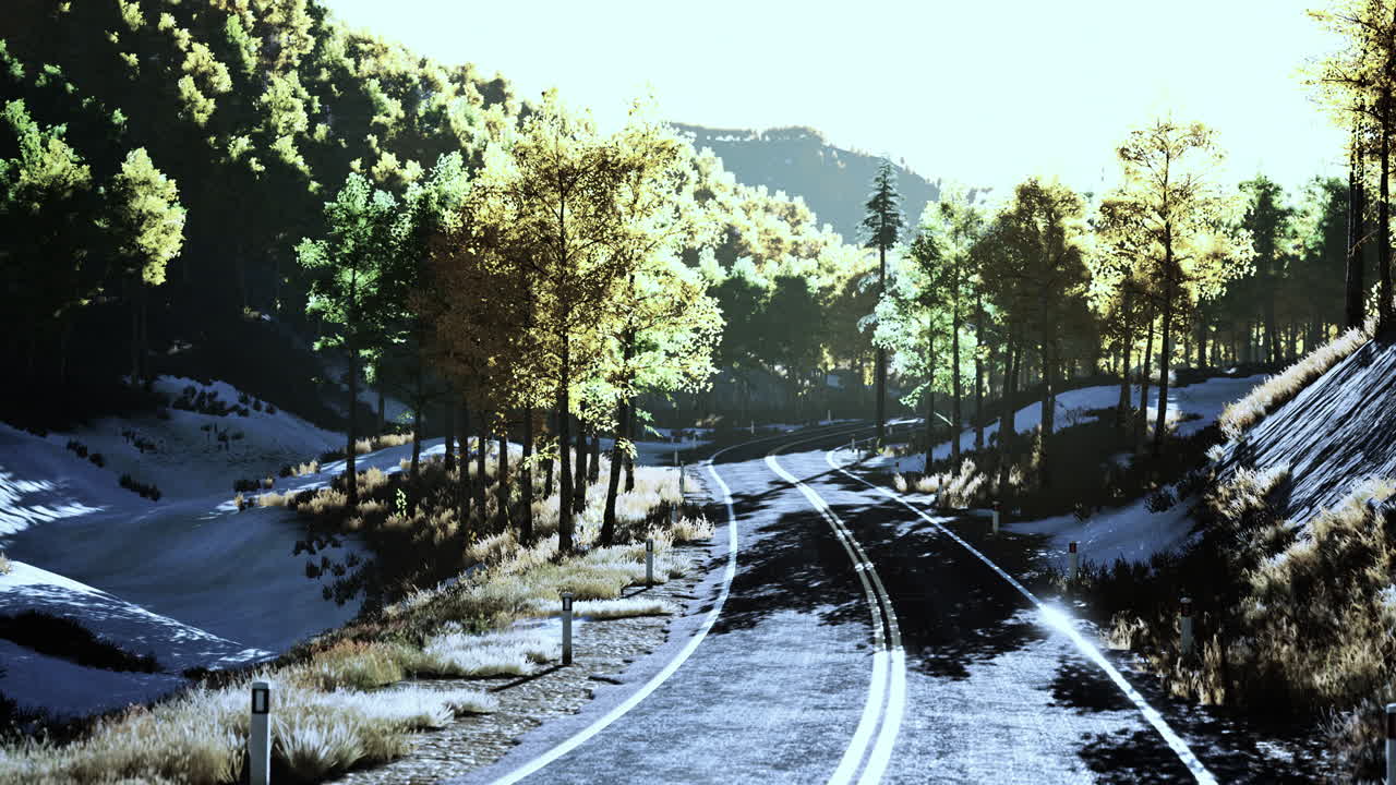 아름다운 가을 숲 에 있는 곡선 도로 의 공중 전망